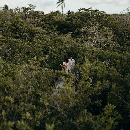 Nativus Glamping & Cenote Tulum Hotel Exterior foto