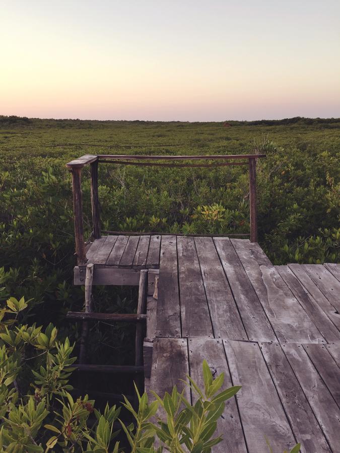 Nativus Glamping & Cenote Tulum Hotel Exterior foto